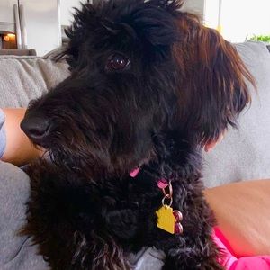 Meet your Posher, Madelyn